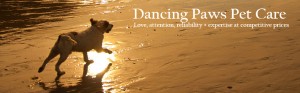 Working Dancing Paws Header 952