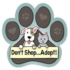Afbeeldingsresultaat voor don't shop adopt
